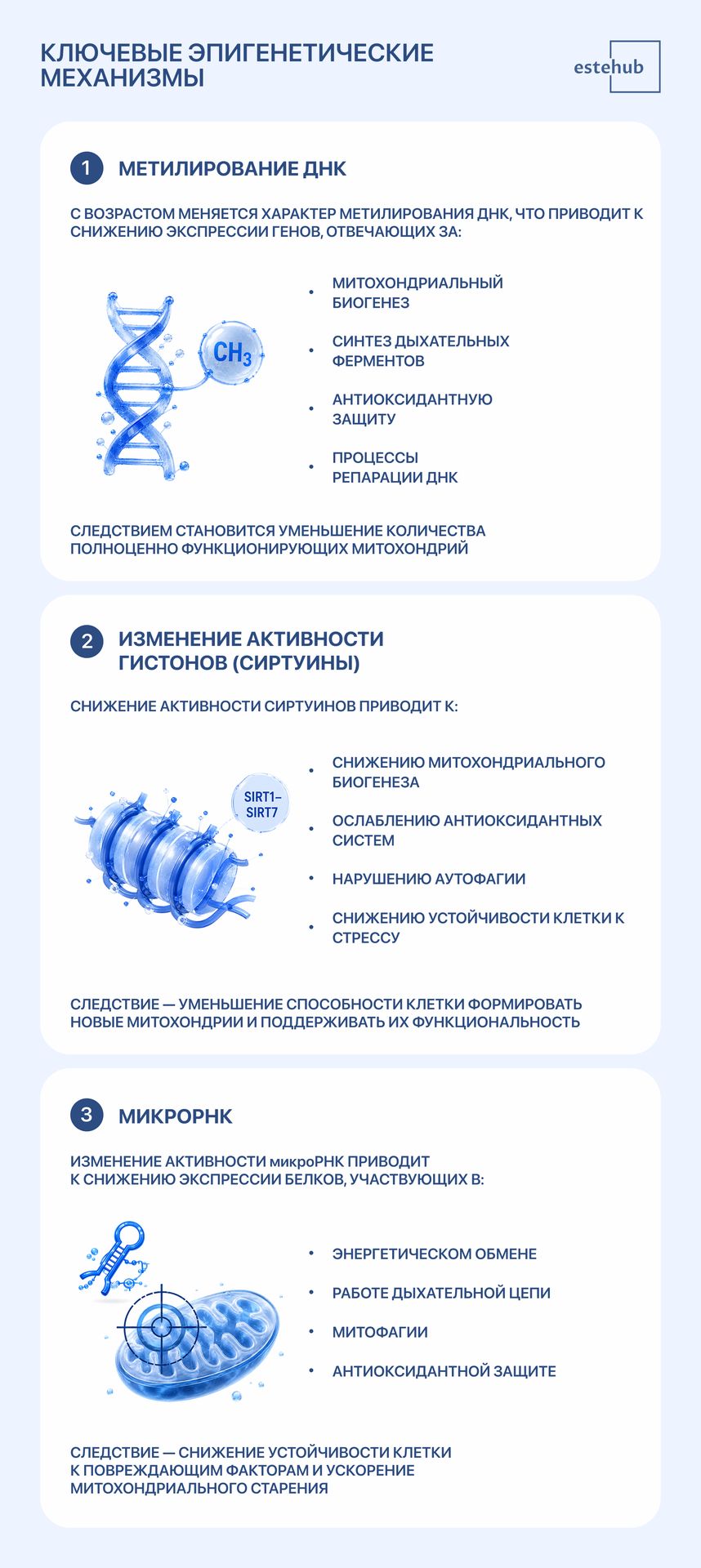 Эпигенетические механизмы старения митохондрий Что такое эпигенетика. Какие изменения приводят к старению митохондрий