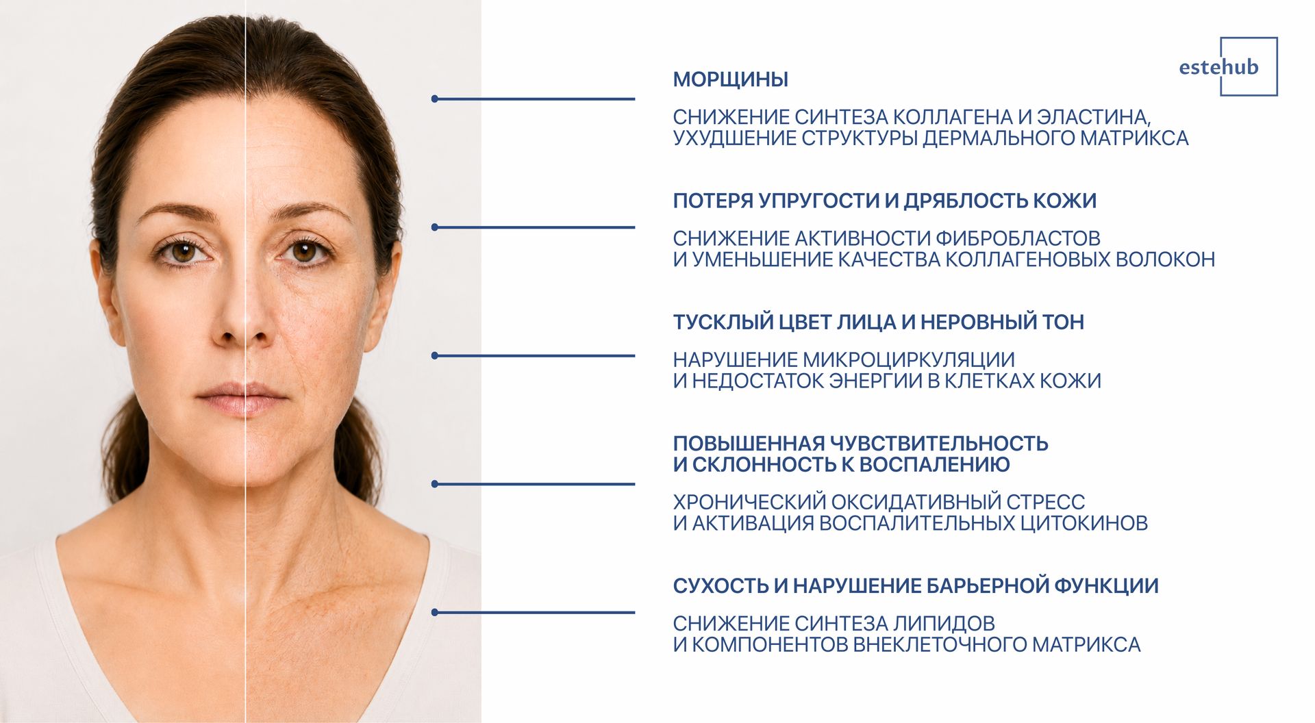 Симптомы митохондриальной дисфункции Визуальные проявления митохондриальной дисфункции. Как выглядит лицо при неправильной функции митохондрий