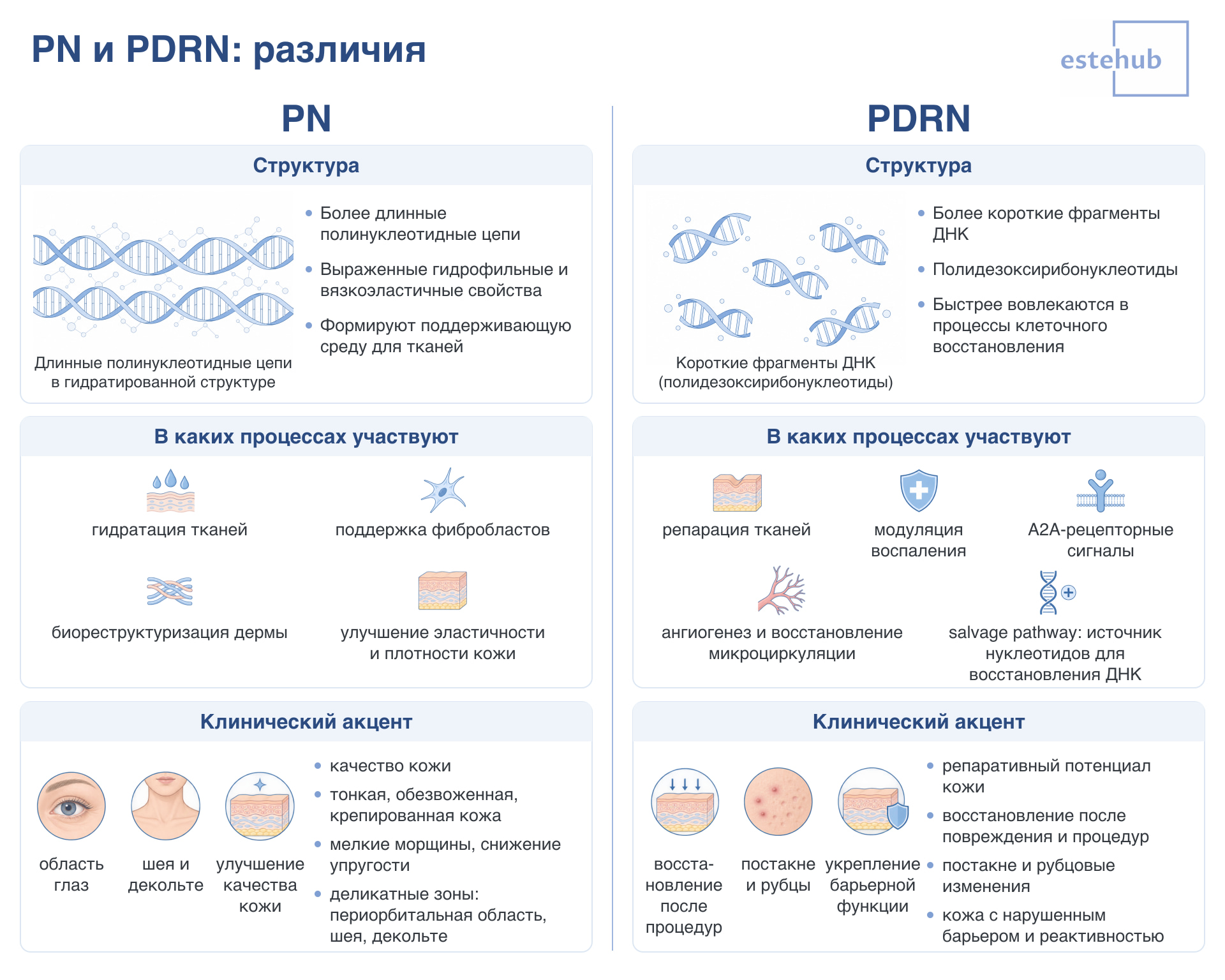 Ключевые отличия PN и PDRN Что такое PN. Что такое PRDN. Чем отличаются PN и PDRN